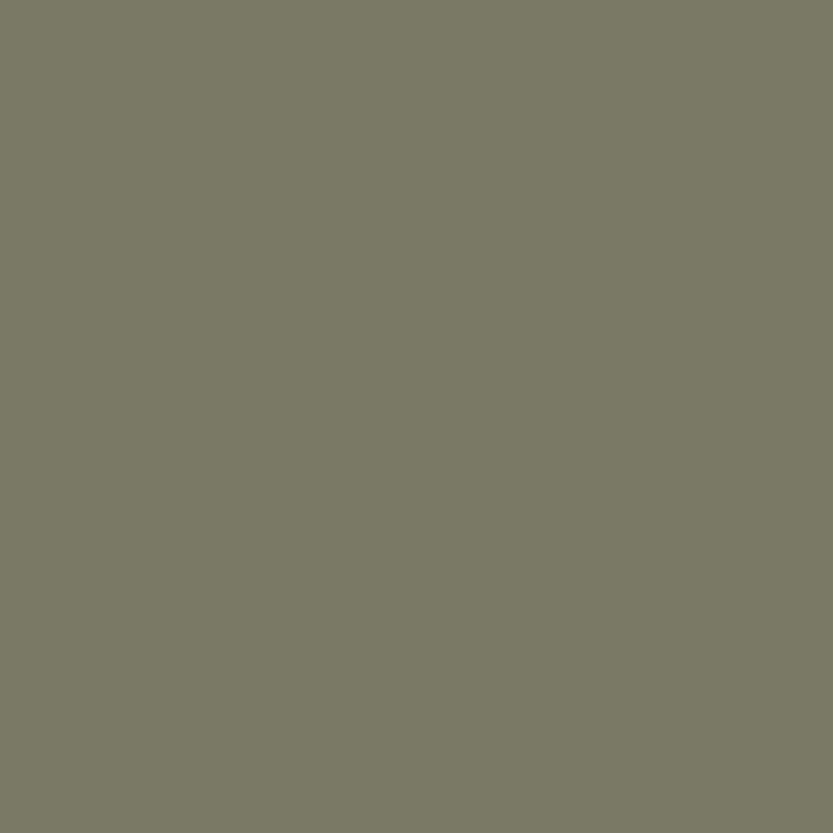 Ultralight Backpack - Sage