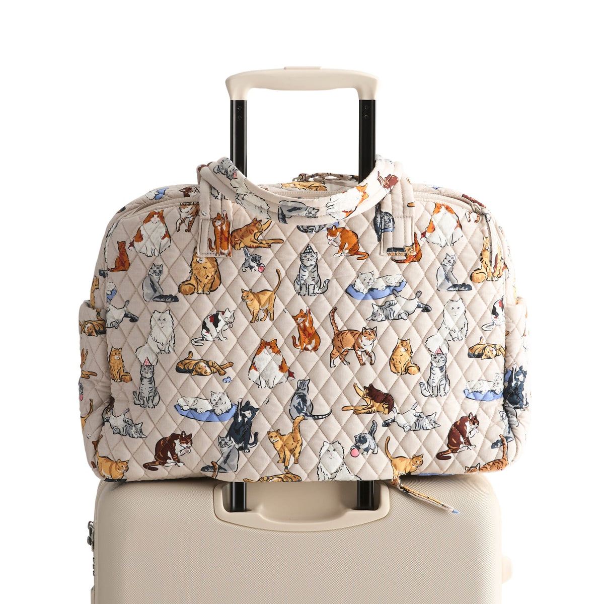 Weekender Travel Bag - A Cat's Life