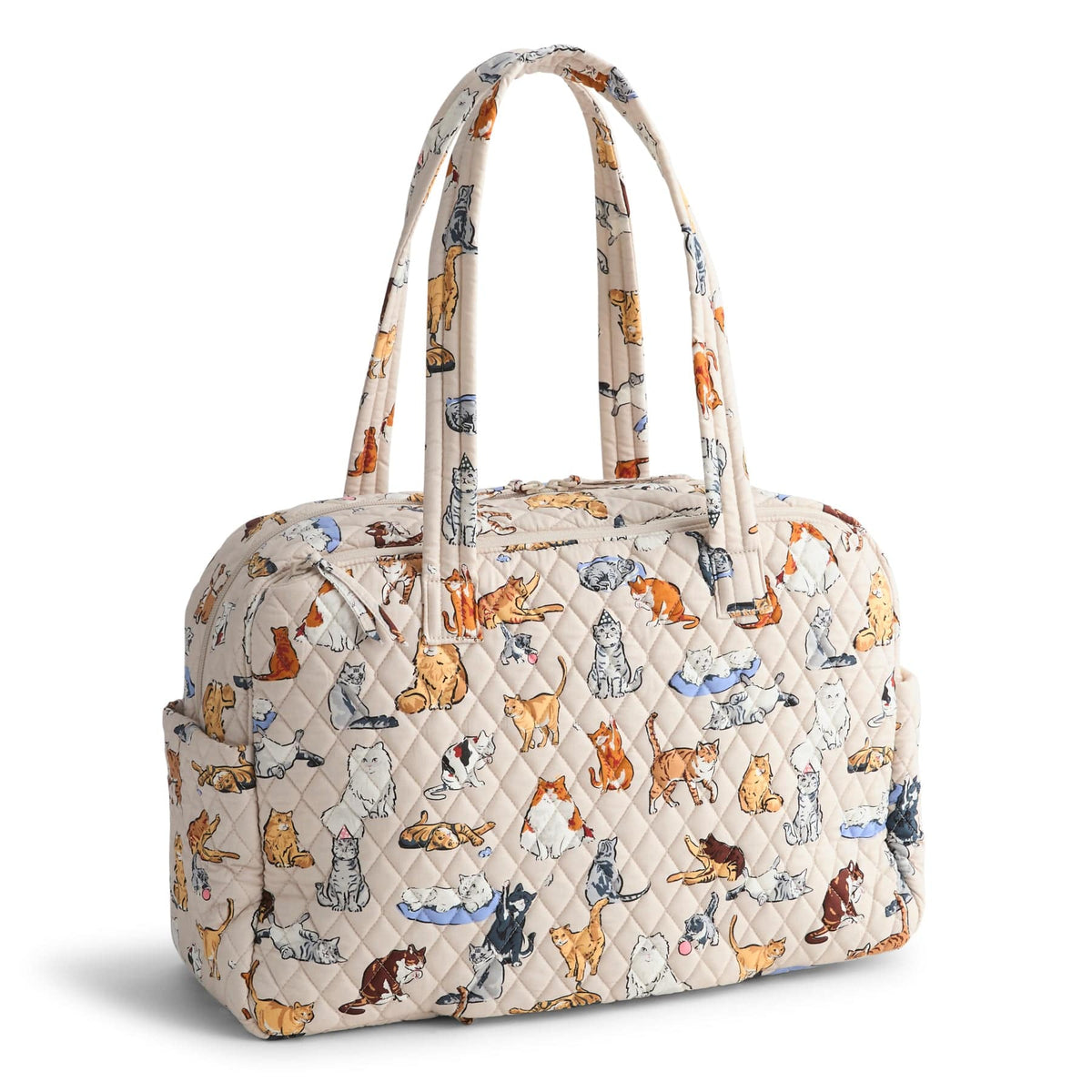 Weekender Travel Bag - A Cat's Life