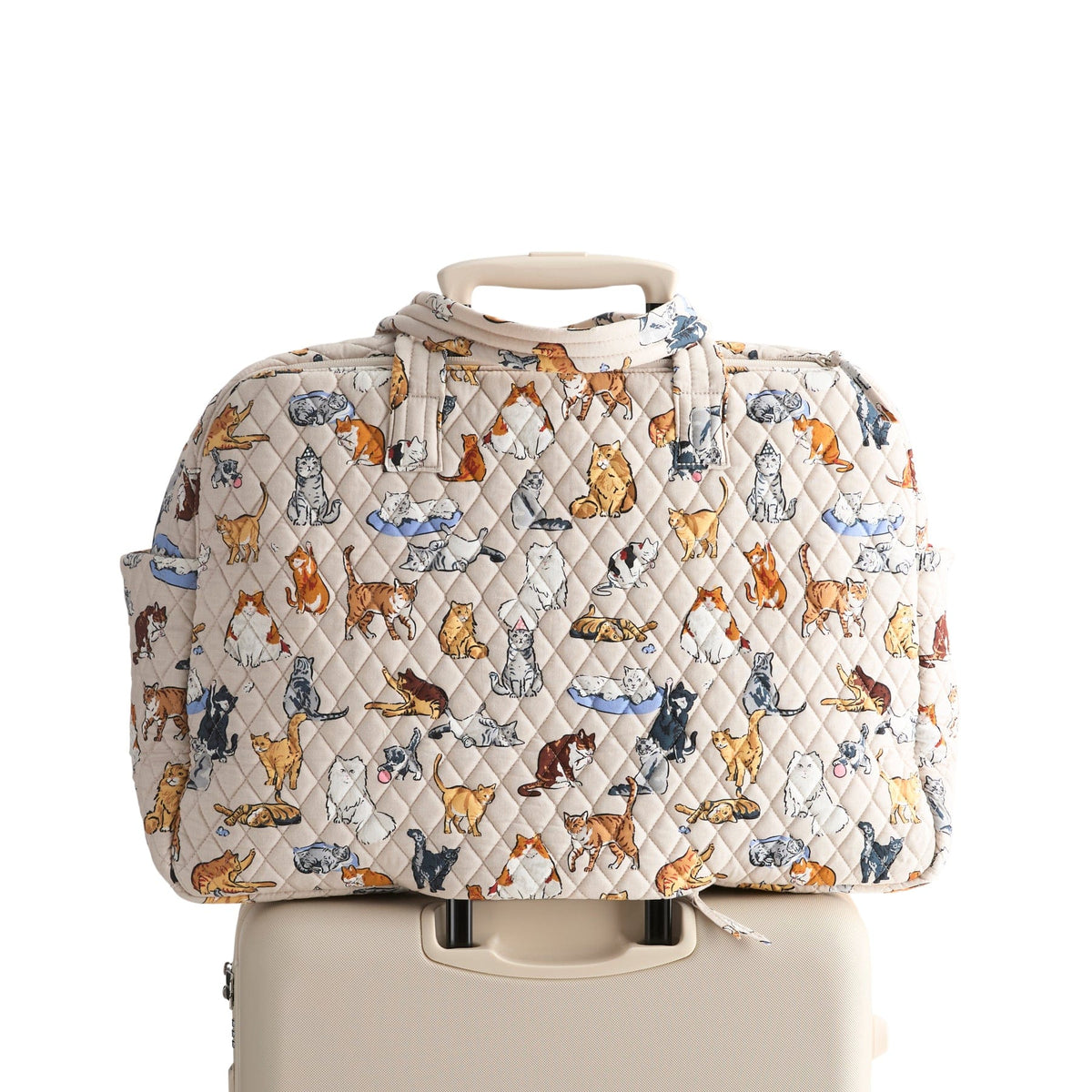Large Weekender Travel Bag - A Cat's Life