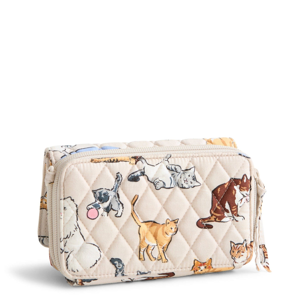 3-in-1 Crossbody - A Cat's Life