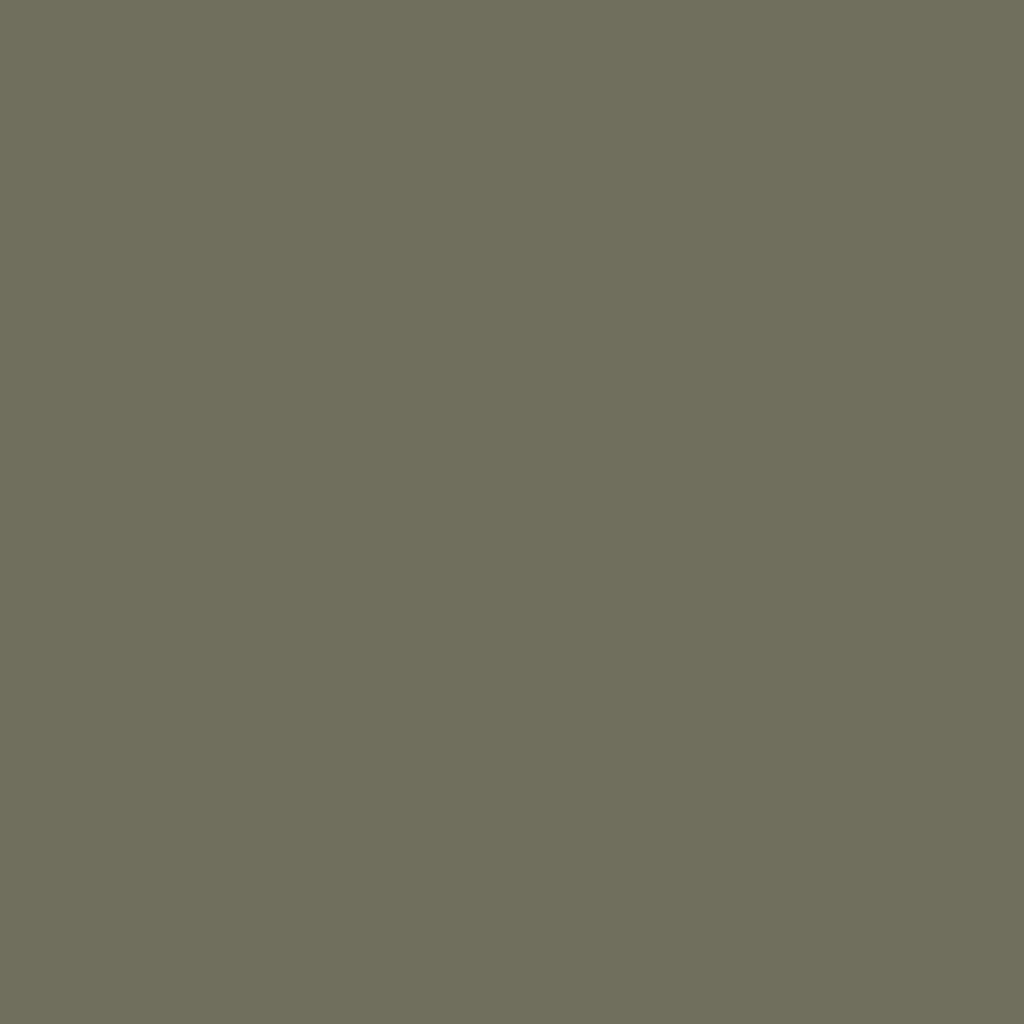 Travel Tote - Deep Lichen Green